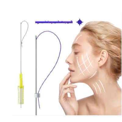 3D 4D 6D PDO 스레드 승강기 코 스레드 주입 주름펴는 성형수술 모노럴 토네이도 스크루